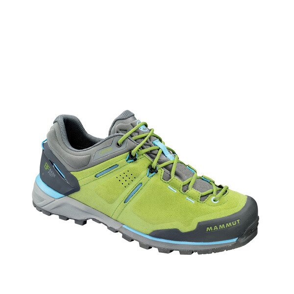 Mammut Alnasca Low GTX Damen