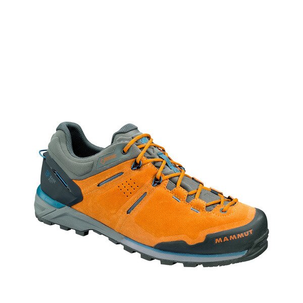 Mammut Alnasca Low GTX Herren