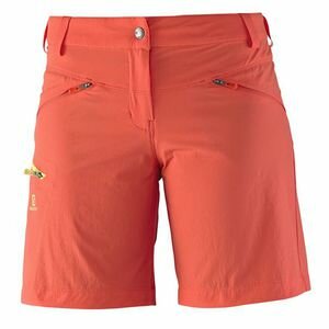 Salomon Shorts Wayfarer W