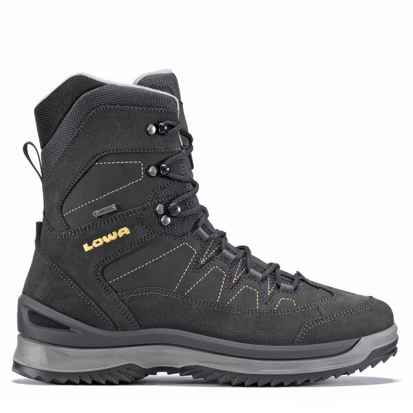 Lowa Disenstis GTX Mid Winterschuh