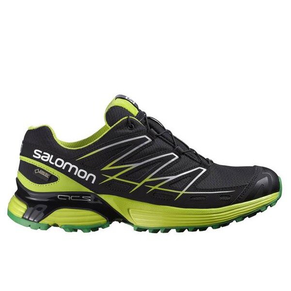 Salomon Wings Flyte GTX Men