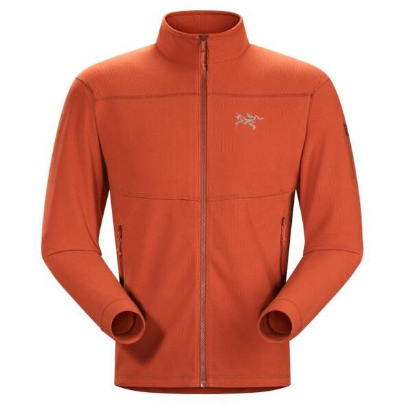 Arc'Teryx Jacke Delta LT Herren