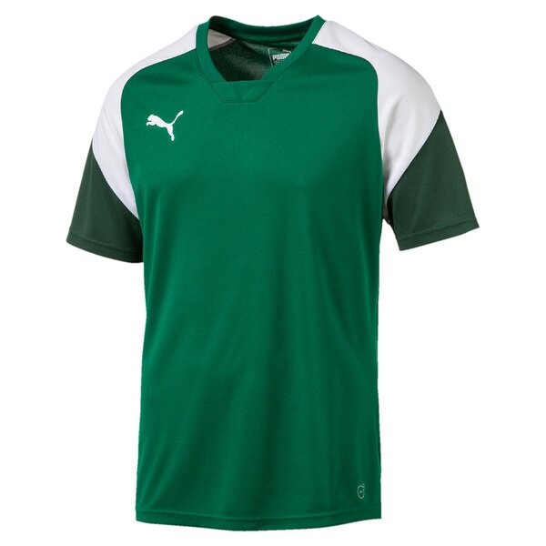 Puma Trainingsshirt FC Grünstern Kinder