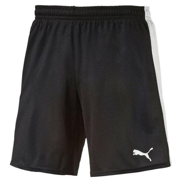 Puma Trainingsshort FC Grünstern Kinder