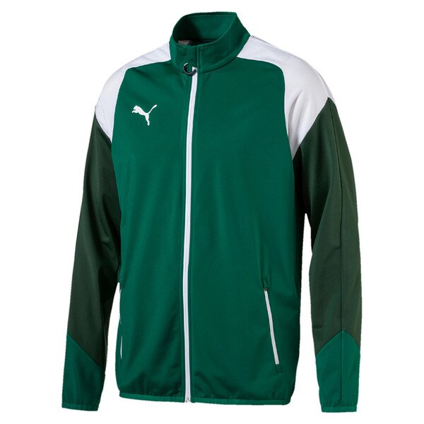 Puma Trainingsjacke FC Grünstern Erwachsen